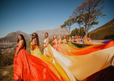 Mice 360 Events - Defining your Butterfly conference sessions in Cape Town, Stellenbosch and Gondwana Game Reserve