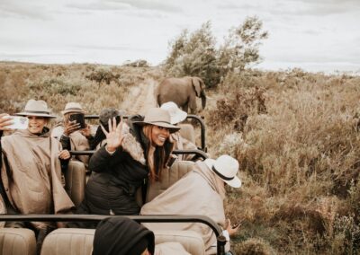 Mice 360 Events - Defining your Butterfly conference sessions in Cape Town, Stellenbosch and Gondwana Game Reserve